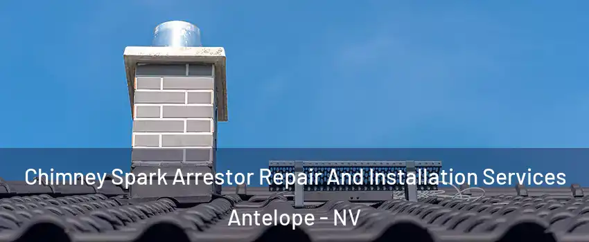 Chimney Spark Arrestor Repair And Installation Services Antelope - NV