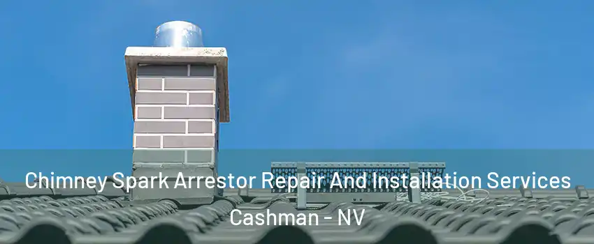 Chimney Spark Arrestor Repair And Installation Services Cashman - NV