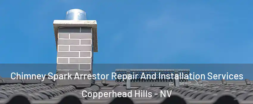 Chimney Spark Arrestor Repair And Installation Services Copperhead Hills - NV