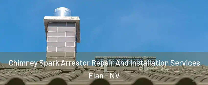 Chimney Spark Arrestor Repair And Installation Services Elan - NV