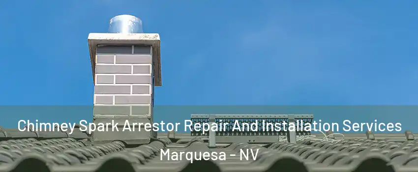 Chimney Spark Arrestor Repair And Installation Services Marquesa - NV