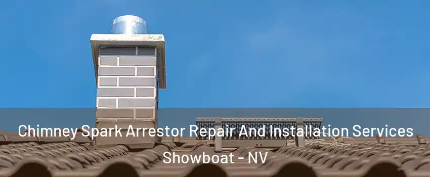 Chimney Spark Arrestor Repair And Installation Services Showboat - NV