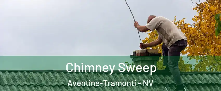 Chimney Sweep Aventine-Tramonti - NV