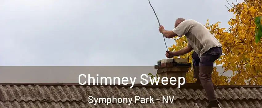 Chimney Sweep Symphony Park - NV