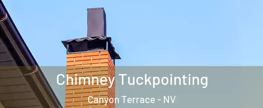 Chimney Tuckpointing Canyon Terrace - NV