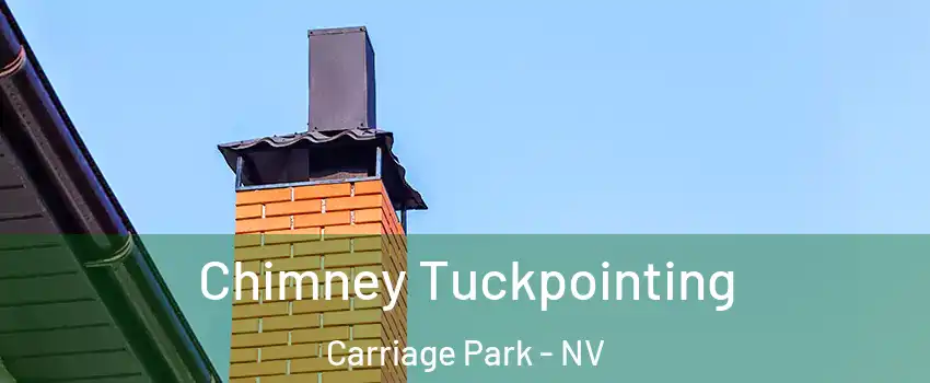 Chimney Tuckpointing Carriage Park - NV