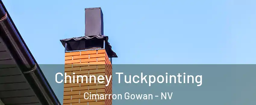 Chimney Tuckpointing Cimarron Gowan - NV