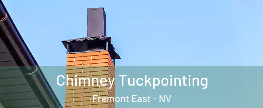 Chimney Tuckpointing Fremont East - NV