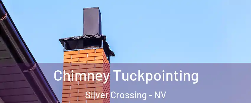 Chimney Tuckpointing Silver Crossing - NV