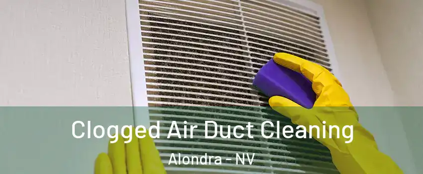 Clogged Air Duct Cleaning Alondra - NV