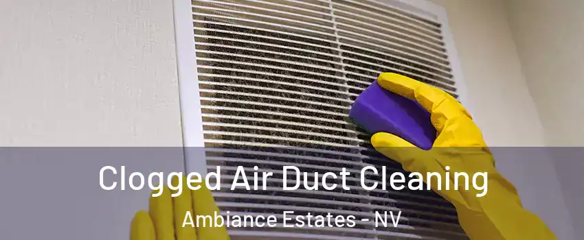 Clogged Air Duct Cleaning Ambiance Estates - NV