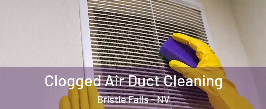 Clogged Air Duct Cleaning Bristle Falls - NV