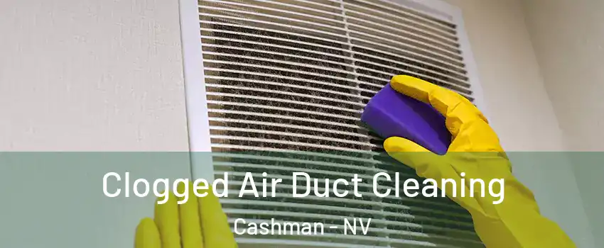 Clogged Air Duct Cleaning Cashman - NV