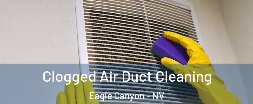 Clogged Air Duct Cleaning Eagle Canyon - NV