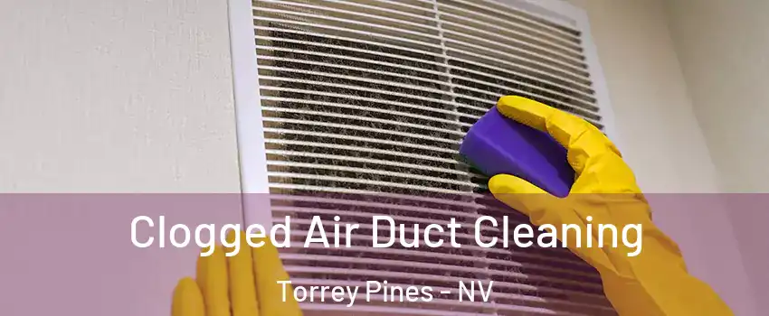 Clogged Air Duct Cleaning Torrey Pines - NV