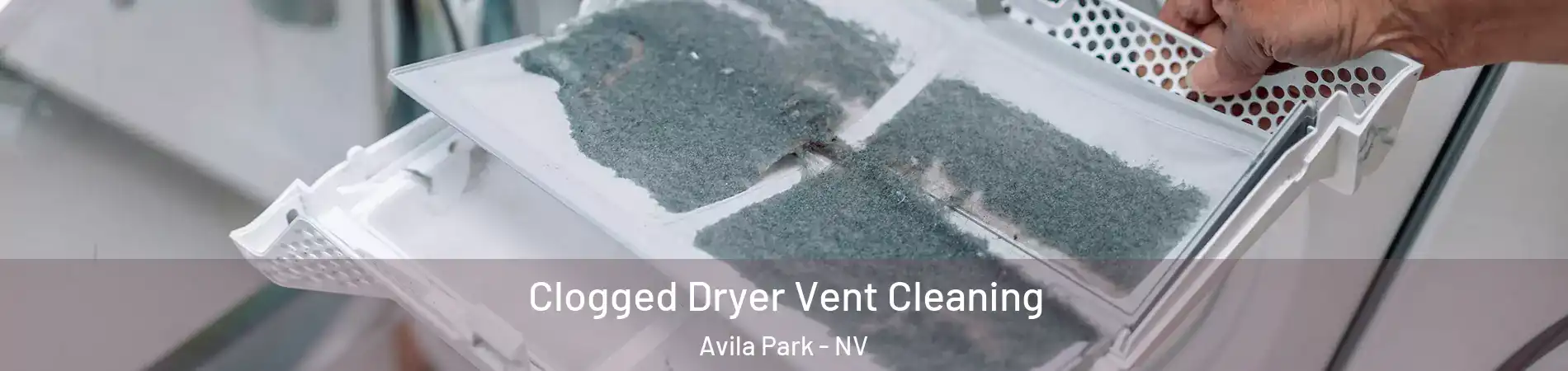 Clogged Dryer Vent Cleaning Avila Park - NV