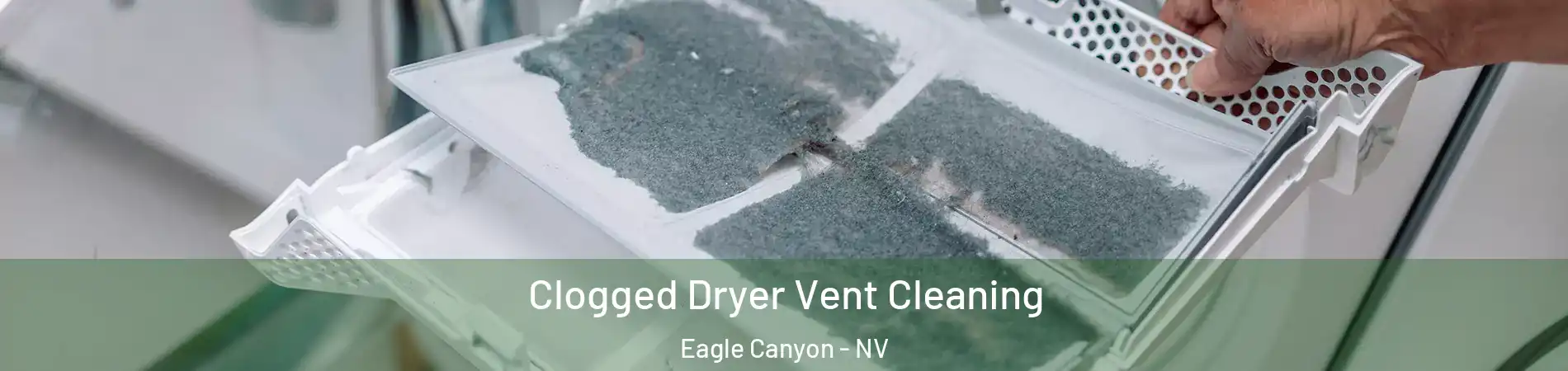 Clogged Dryer Vent Cleaning Eagle Canyon - NV