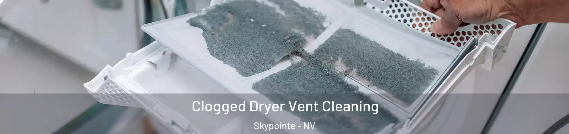 Clogged Dryer Vent Cleaning Skypointe - NV