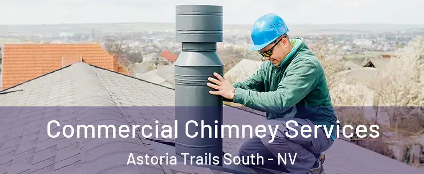 Commercial Chimney Services Astoria Trails South - NV