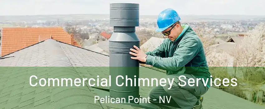 Commercial Chimney Services Pelican Point - NV