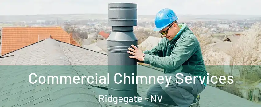 Commercial Chimney Services Ridgegate - NV