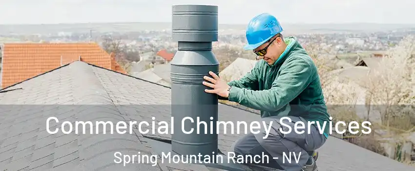 Commercial Chimney Services Spring Mountain Ranch - NV