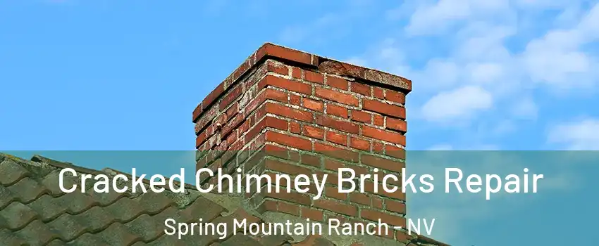 Cracked Chimney Bricks Repair Spring Mountain Ranch - NV