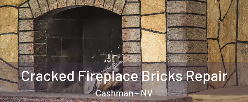 Cracked Fireplace Bricks Repair Cashman - NV