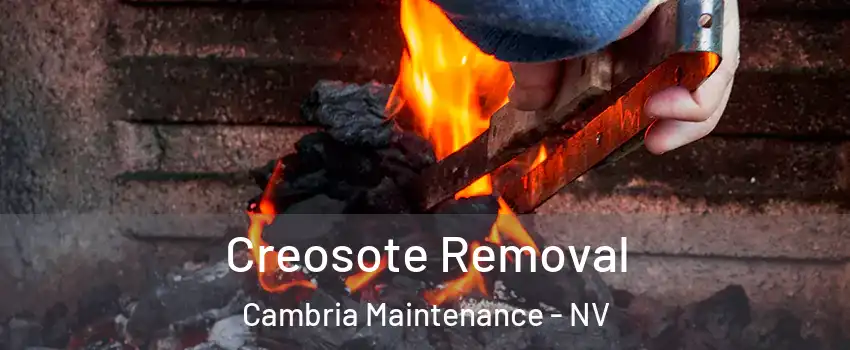 Creosote Removal Cambria Maintenance - NV