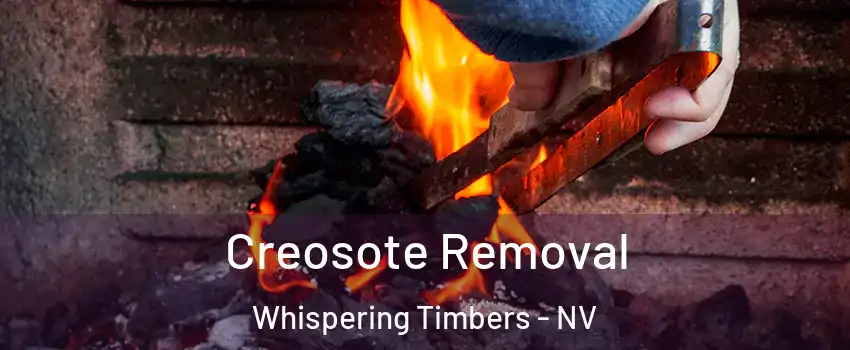 Creosote Removal Whispering Timbers - NV