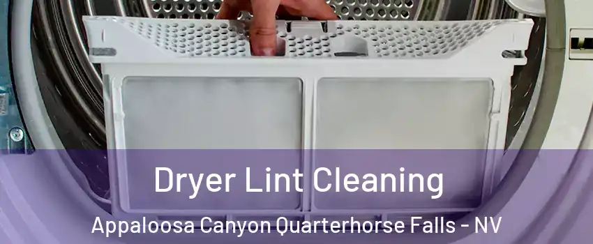 Dryer Lint Cleaning Appaloosa Canyon Quarterhorse Falls - NV