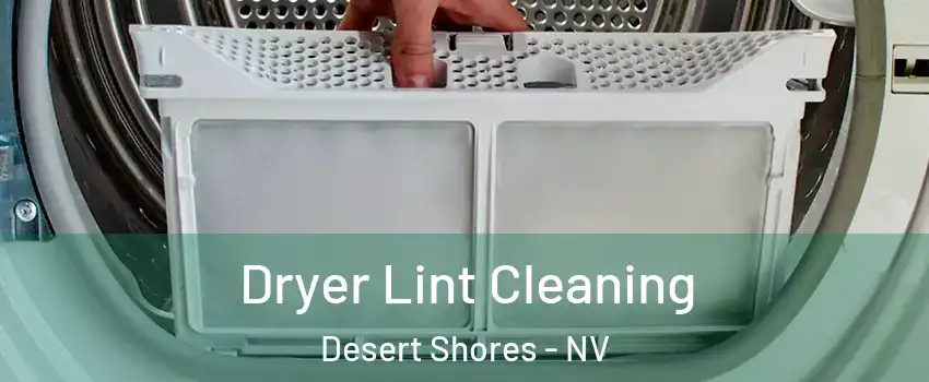 Dryer Lint Cleaning Desert Shores - NV