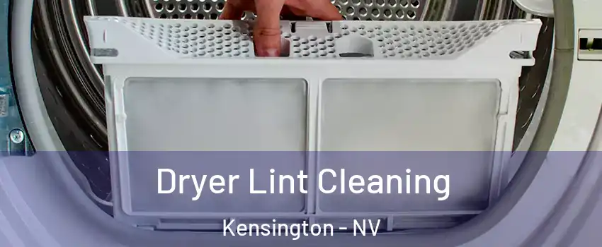 Dryer Lint Cleaning Kensington - NV