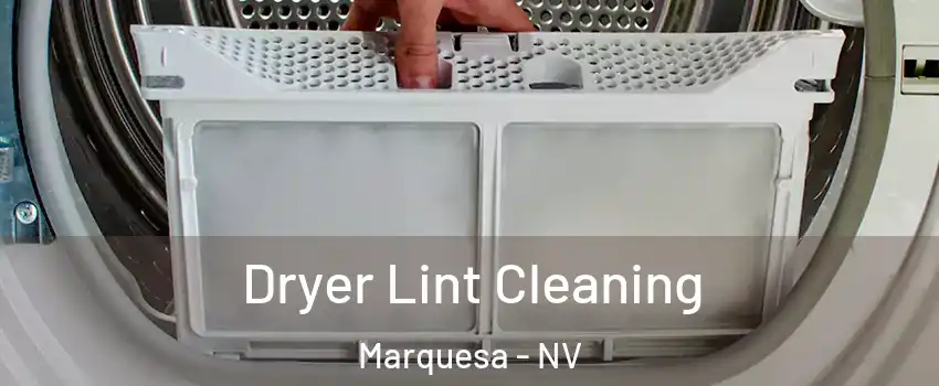 Dryer Lint Cleaning Marquesa - NV