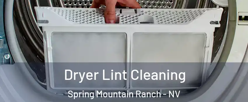 Dryer Lint Cleaning Spring Mountain Ranch - NV