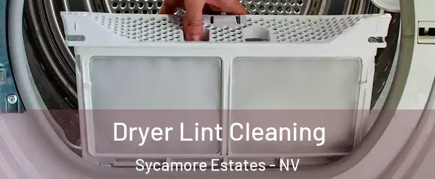 Dryer Lint Cleaning Sycamore Estates - NV