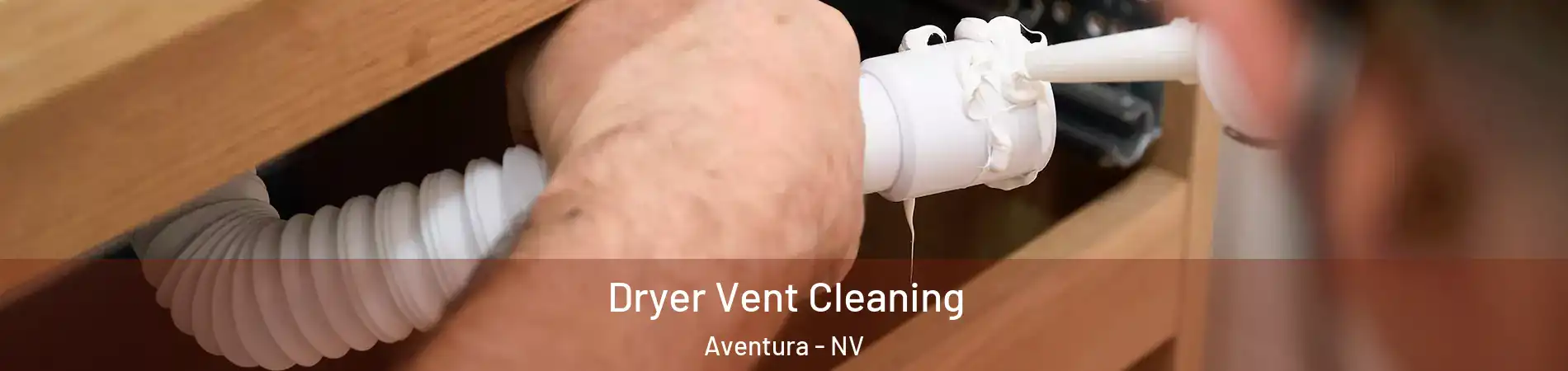 Dryer Vent Cleaning Aventura - NV