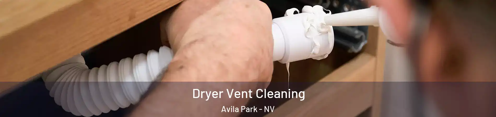 Dryer Vent Cleaning Avila Park - NV