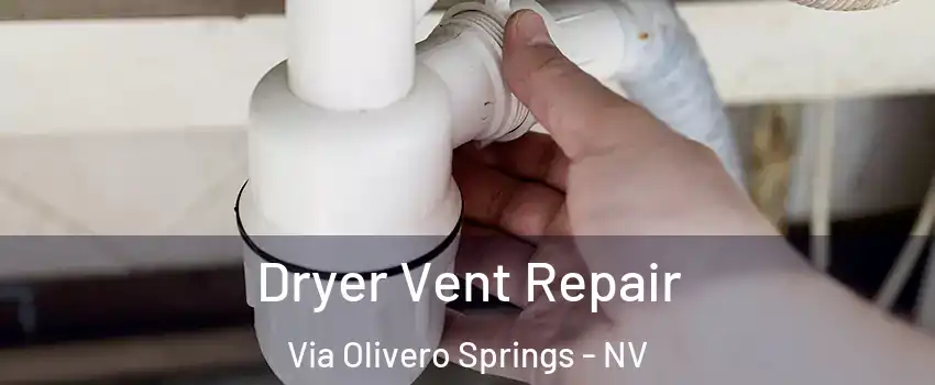 Dryer Vent Repair Via Olivero Springs - NV