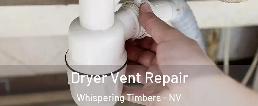 Dryer Vent Repair Whispering Timbers - NV