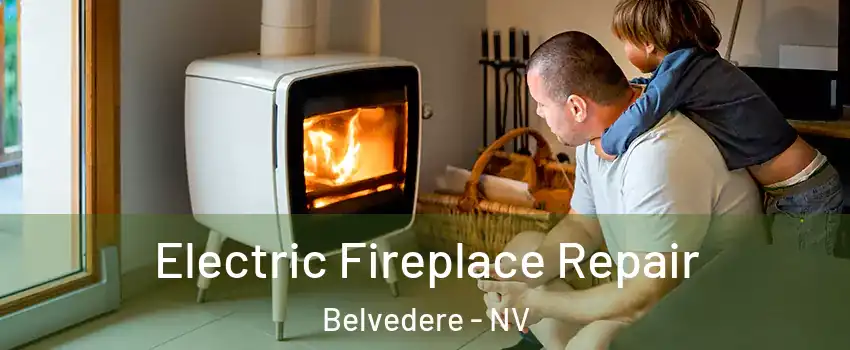 Electric Fireplace Repair Belvedere - NV