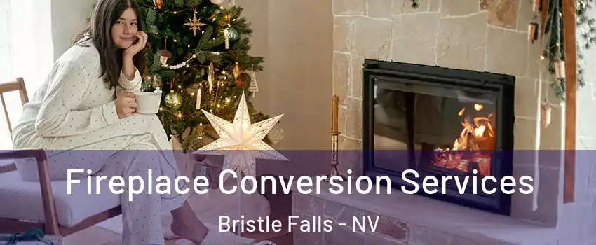 Fireplace Conversion Services Bristle Falls - NV