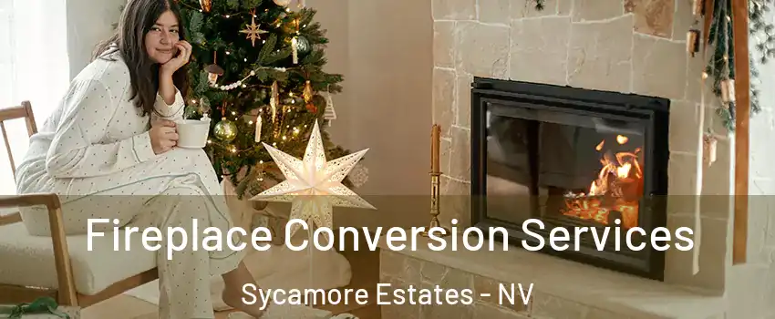 Fireplace Conversion Services Sycamore Estates - NV