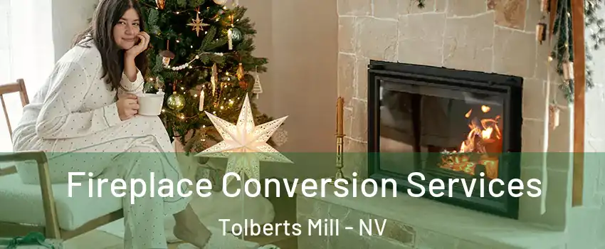 Fireplace Conversion Services Tolberts Mill - NV