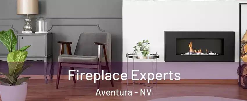 Fireplace Experts Aventura - NV