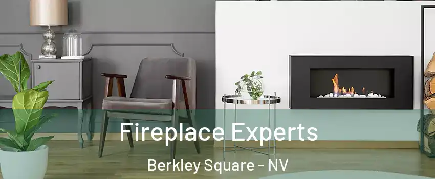 Fireplace Experts Berkley Square - NV