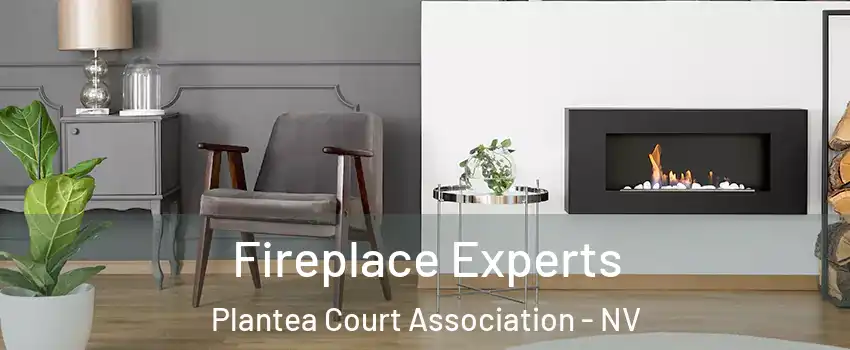 Fireplace Experts Plantea Court Association - NV