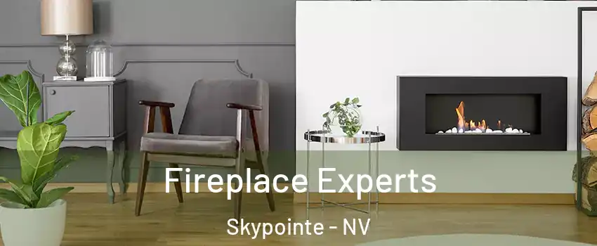 Fireplace Experts Skypointe - NV