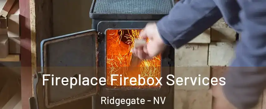 Fireplace Firebox Services Ridgegate - NV