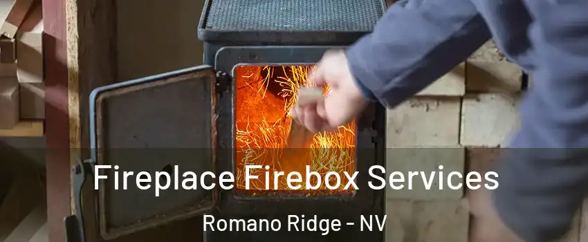 Fireplace Firebox Services Romano Ridge - NV